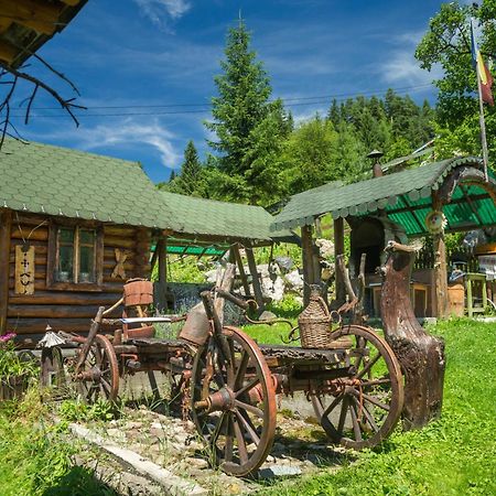 Casa Rustik Bucovina Villa Fundu Moldovei Eksteriør billede